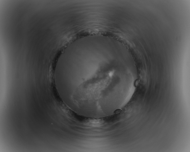 X0000088220659200705221805