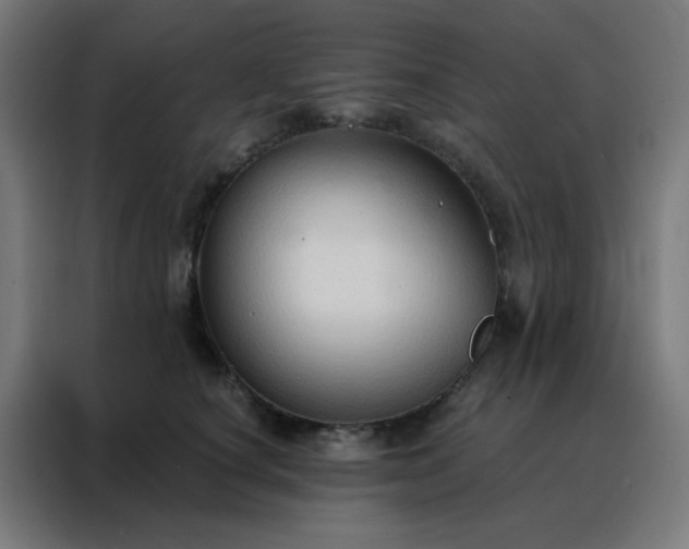 X0000088220660200705221805