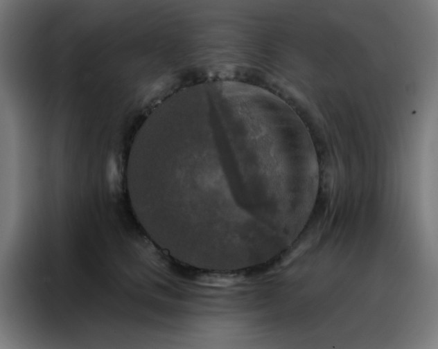 X0000088220661200705221805