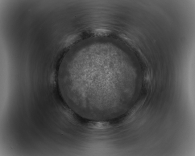 X0000088220663200705221805