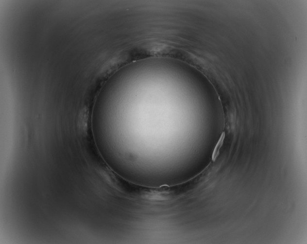 X0000088220664200705221805