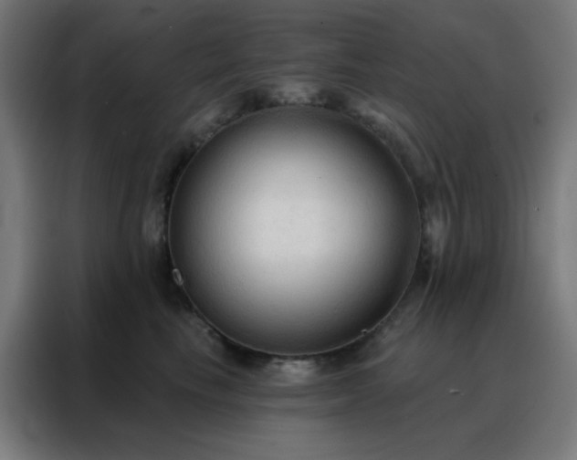 X0000088220665200705221805