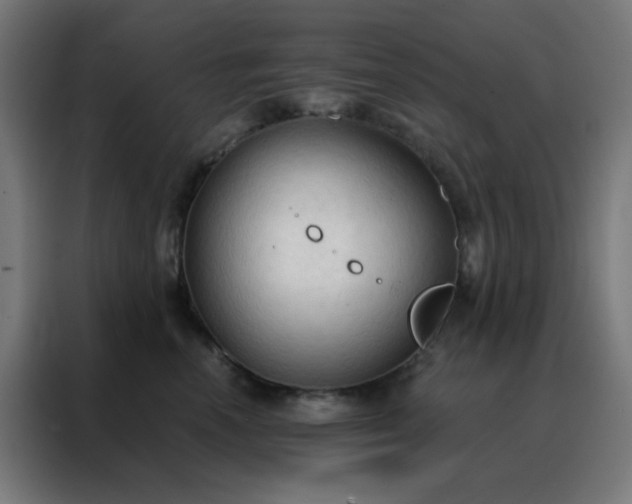 X0000088220666200705221805