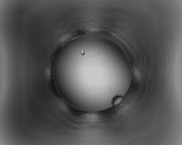 X0000088220668200705221805