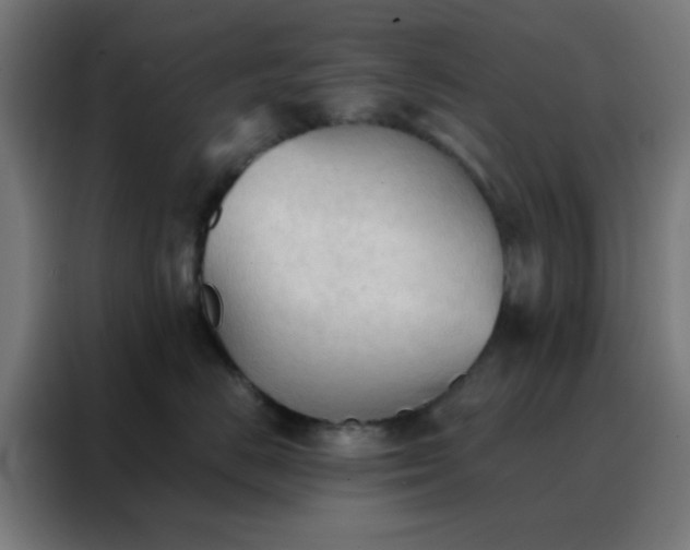 X0000088220670200705221805