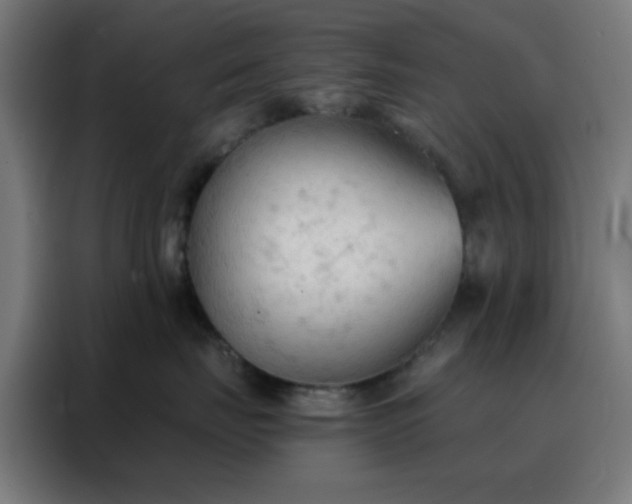 X0000088220671200705221805