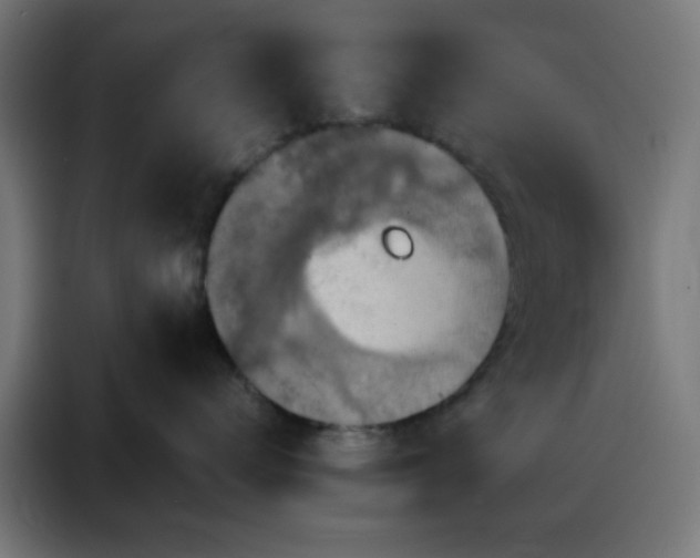 X0000088220672200705221805