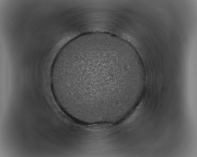 X0000088220673200705221804