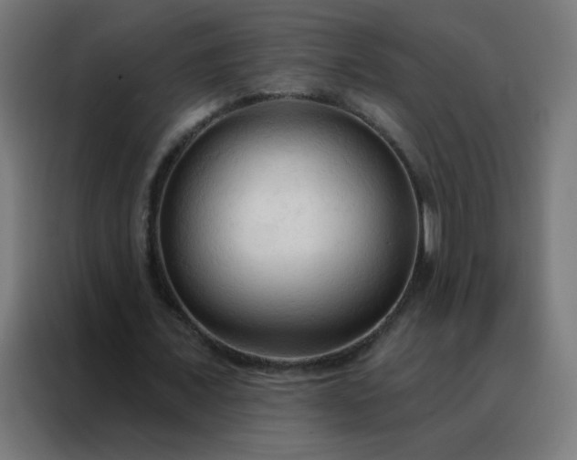 X0000088220675200705221804