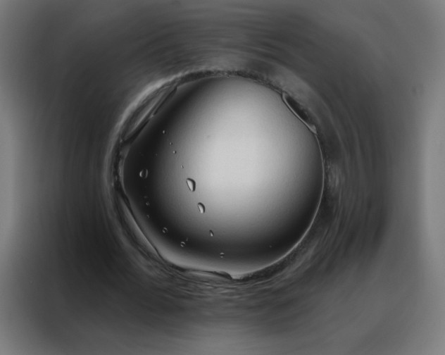 X0000088220676200705221804