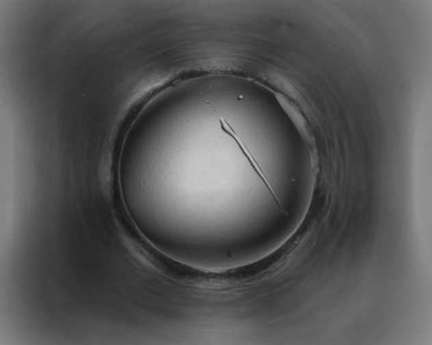 X0000088220677200705221804