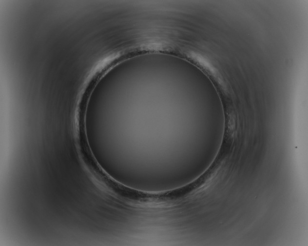 X0000088220678200705221804