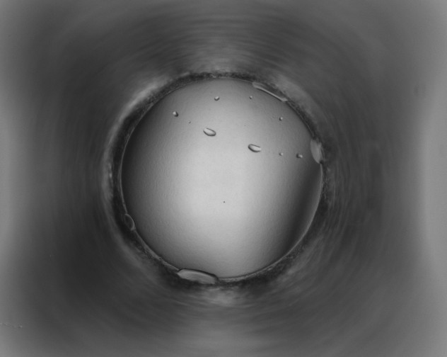 X0000088220680200705221804