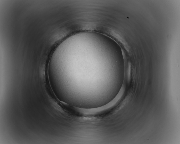 X0000088220681200705221804