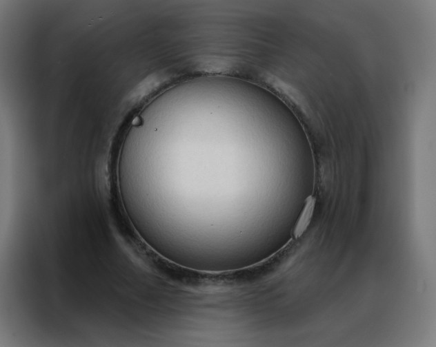 X0000088220682200705221804