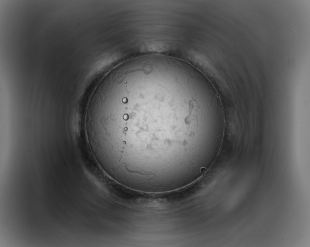 X0000088220683200705221804