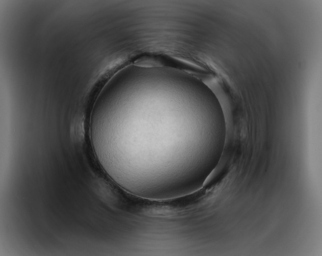 X0000088220685200705221804