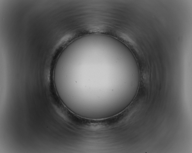 X0000088220686200705221804