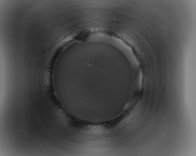 X0000088220689200705221804