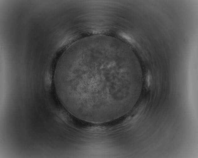 X0000088220691200705221804