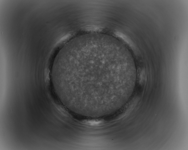 X0000088220692200705221804