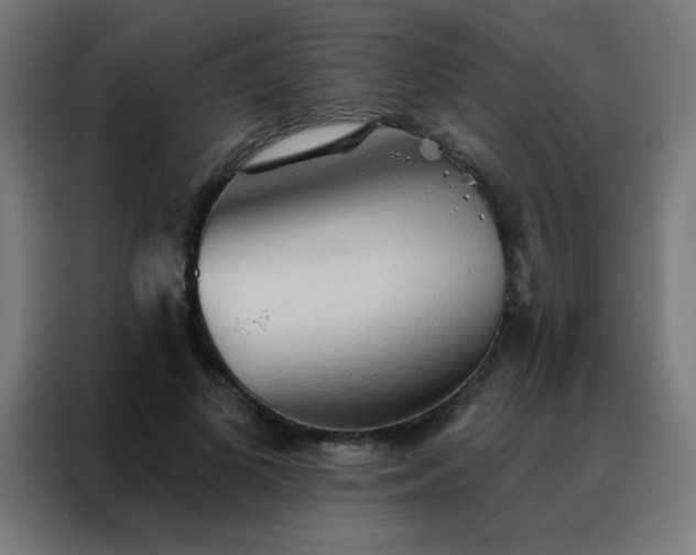 X0000088220693200705221804