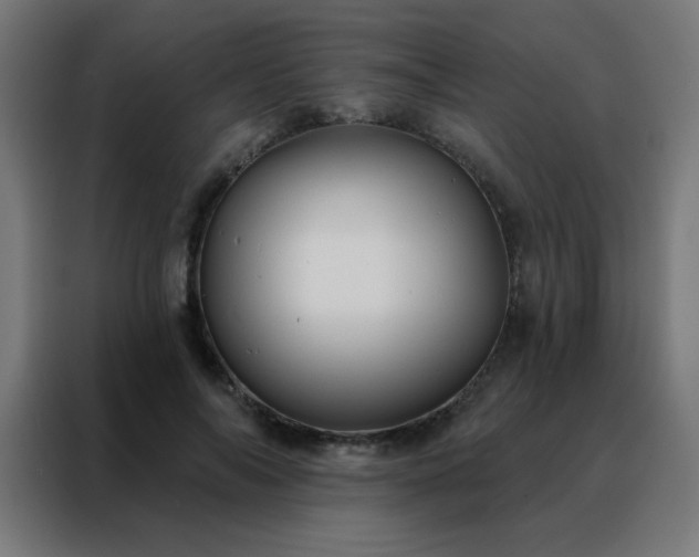 X0000088220694200705221804