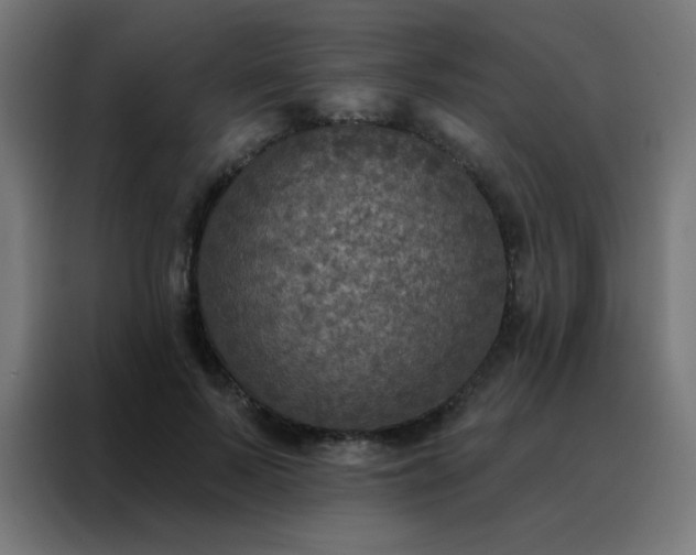 X0000088220695200705221804