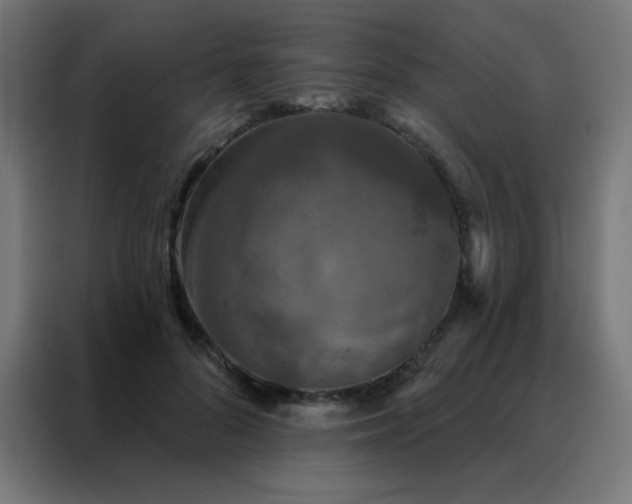 X0000088220696200705221804