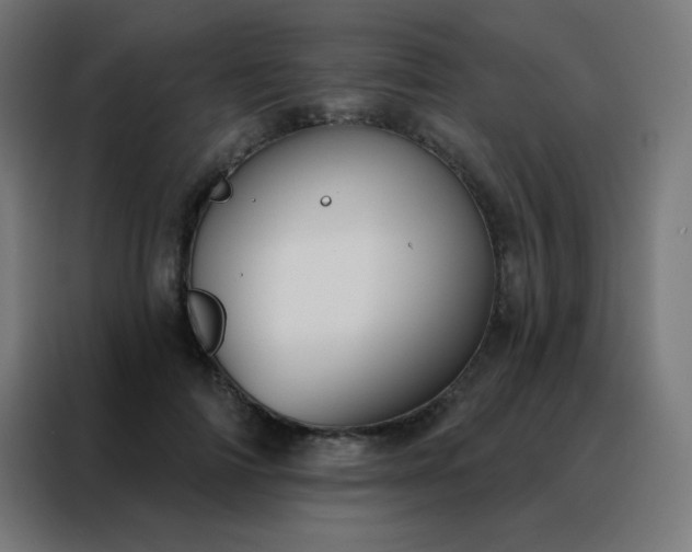 X0000088220698200705221804