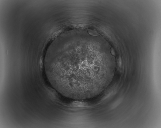 X0000088220699200705221804