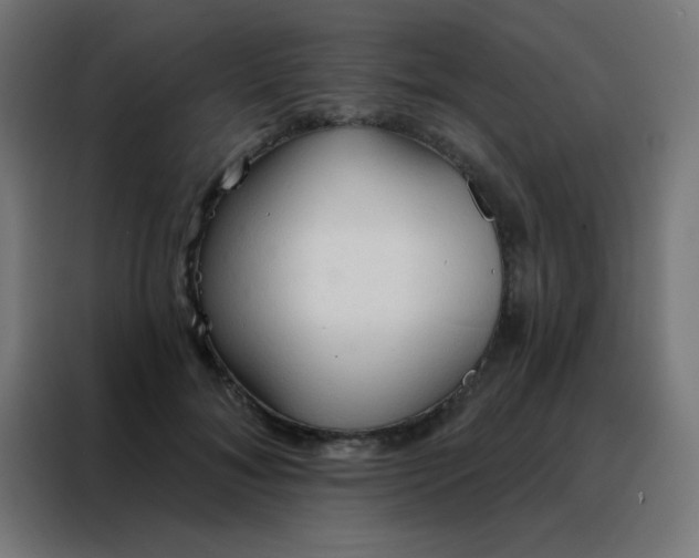 X0000088220700200705221804