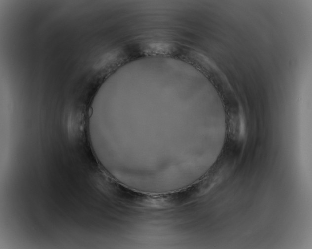 X0000088220701200705221804