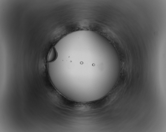 X0000088220702200705221804