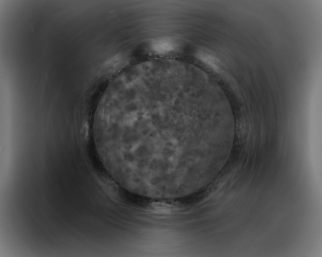 X0000088220703200705221804