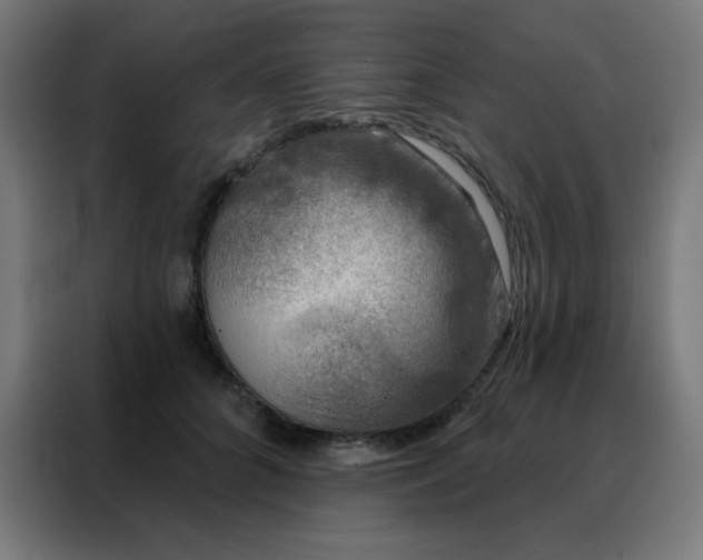 X0000088220704200705221804