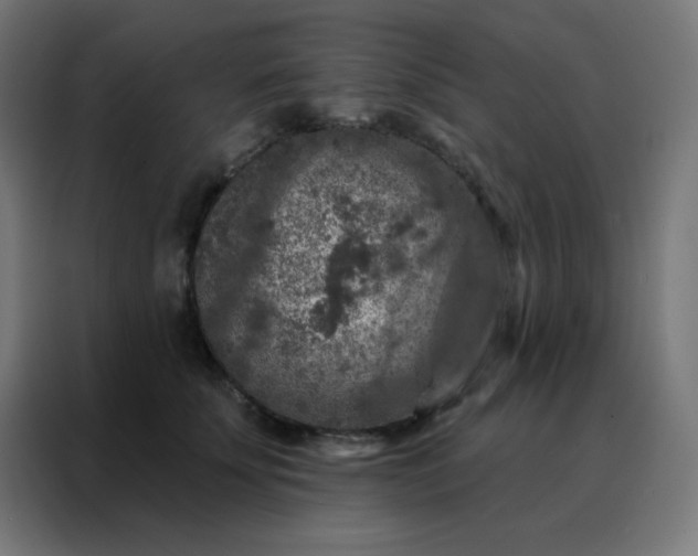 X0000088220707200705221804