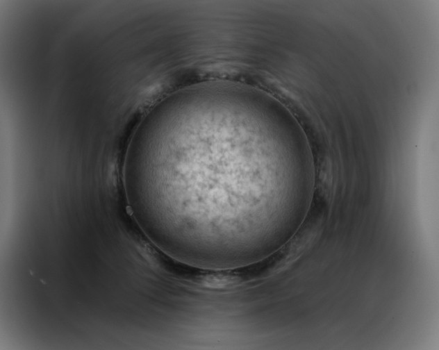 X0000088220708200705221804