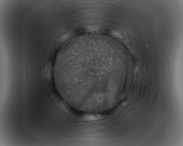 X0000088220712200705221804