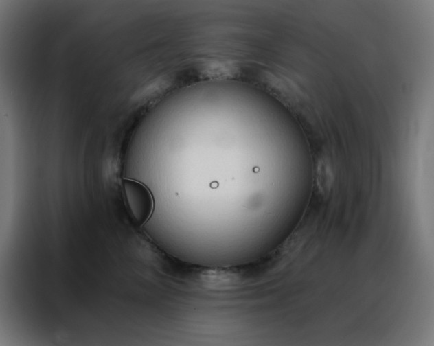 X0000088220714200705221804