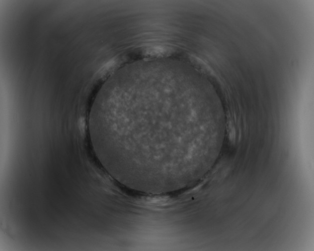 X0000088220716200705221804