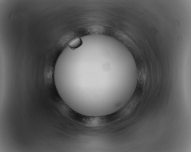 X0000088220717200705221804