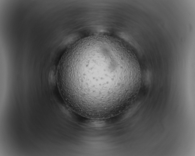 X0000088220719200705221804