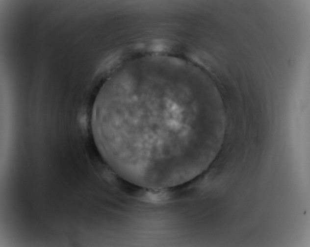 X0000088220720200705221804