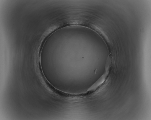 X0000088220721200705221803