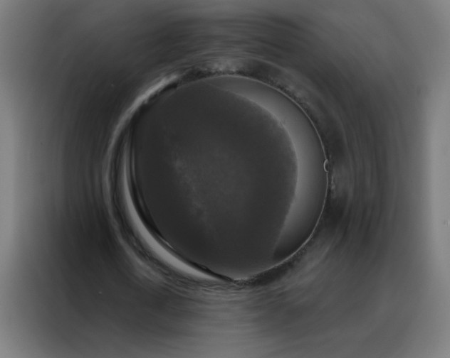 X0000088220722200705221803