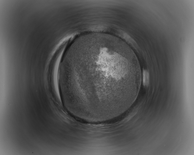 X0000088220723200705221803