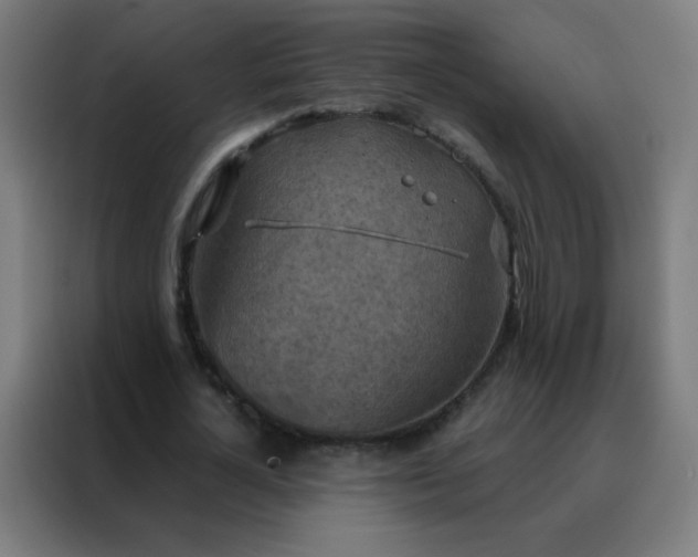 X0000088220724200705221803