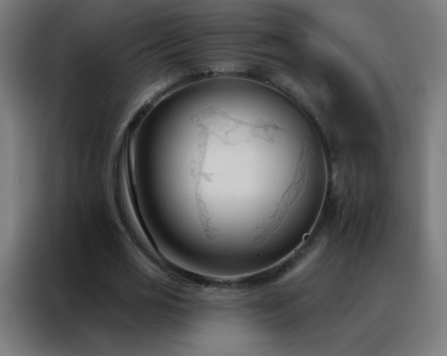 X0000088220725200705221803