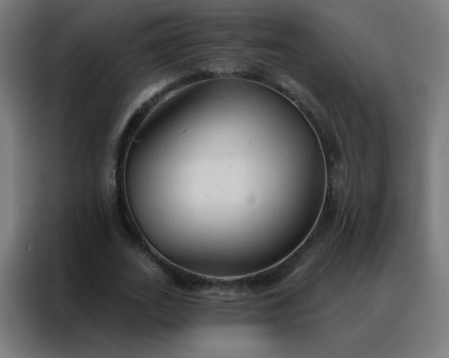 X0000088220727200705221803